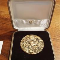 Medaglia in bronzo 