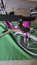 bicicletta