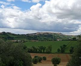 V003632 OSIMO - SAN BIAGIO