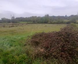 Terreno agricolo con acqua