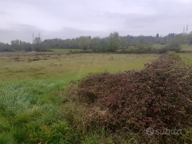 Terreno agricolo con acqua