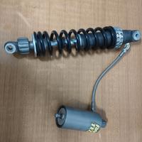 Ammortizzatore Race Tech