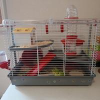 Gabbia e cricetina