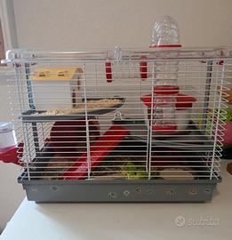 Gabbia e cricetina