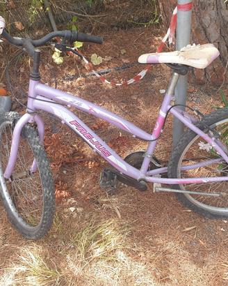 Mountain bike 24 