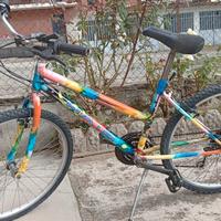 bici mountain bike economiche