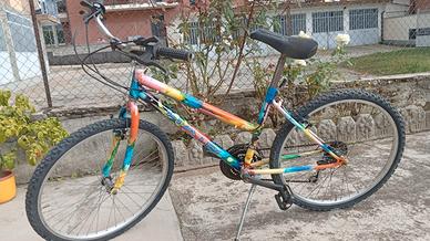 bici mountain bike economiche