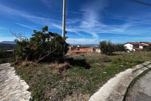 Terreno edificabile - Lotto - Villa - Villette