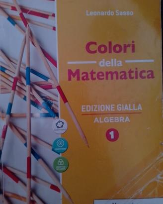 libro colori della matematica 1