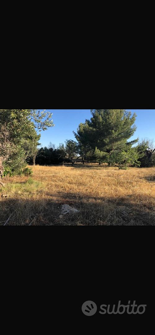 Terreno agricolo no casa - Vista 2
