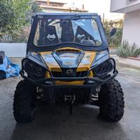 Can-Am Altro modello - 2013