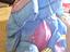 Immagine 3
