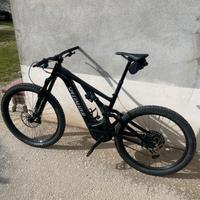 Specialized Turbo Levo