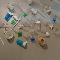 disponibili mangiature beverini nidi 