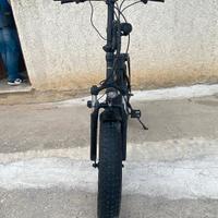 Fat Bike Vitale