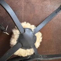 capezzino messicano equitazione