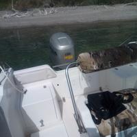 Nautica