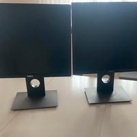 Coppia di monitor Dell