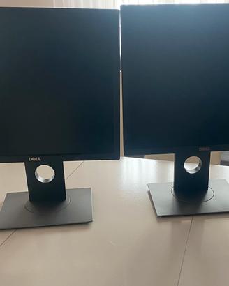 Coppia di monitor Dell