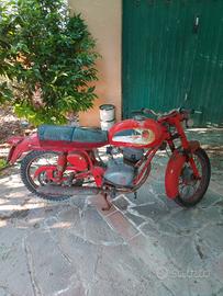 gilera giubileo 98