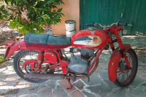 gilera giubileo 98