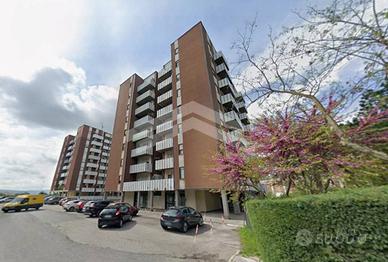 Appartamento - Campobasso