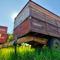 Rimorchio agricolo cassone cereali - dumper ribalt