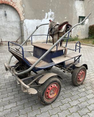 Carrozza per cavallo