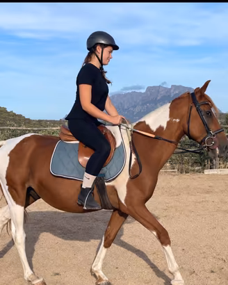 Cavallo
