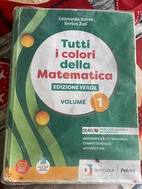 Tutti i colori della matematica volume 1 verde