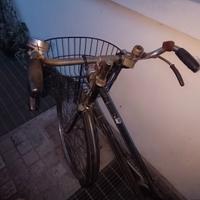 bicicletta con freni a bacchetta 