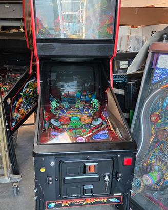 Flipper Revenge from Mars 