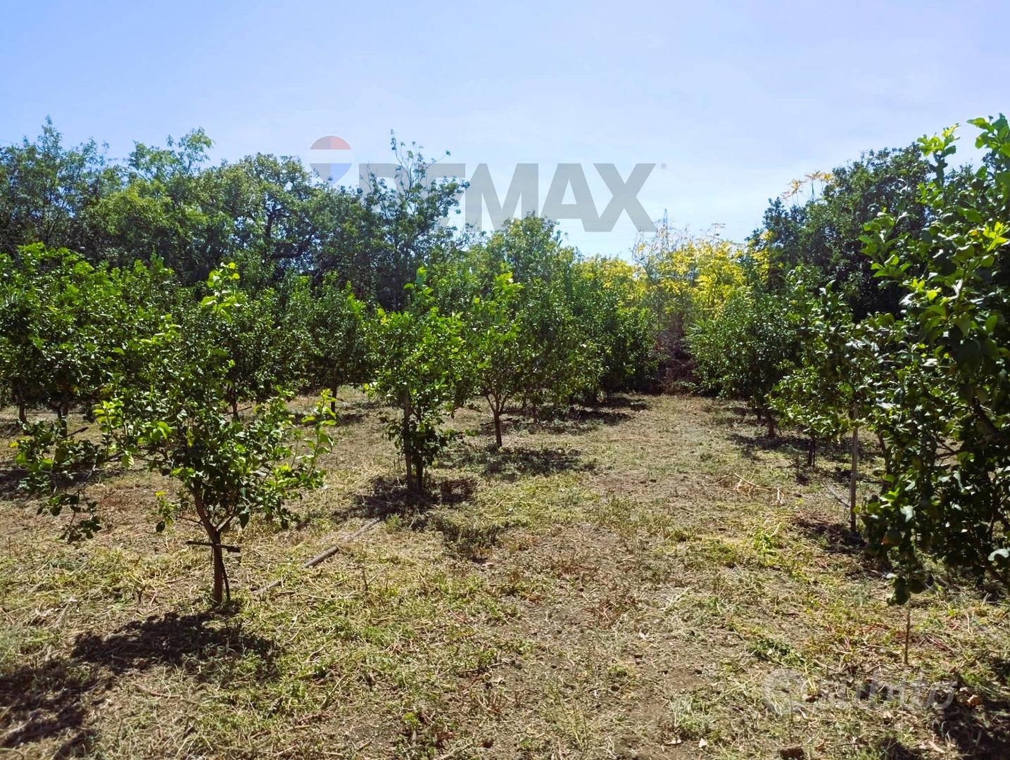 Terreno - Santa Venerina - Vista 5