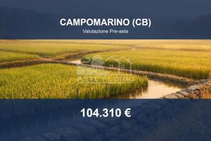 Immobile in asta di 61505 m² a Campomarino