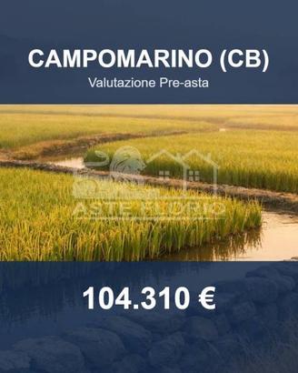 Immobile in asta di 61505 m² a Campomarino