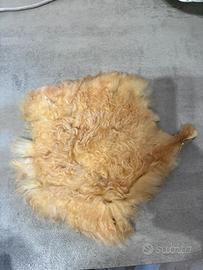 Coperta in pura lana di capretto  australiano