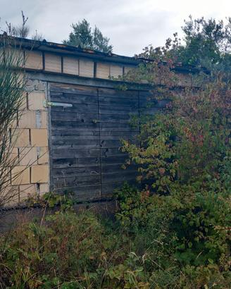 Rustico nei calanchi - uliveto