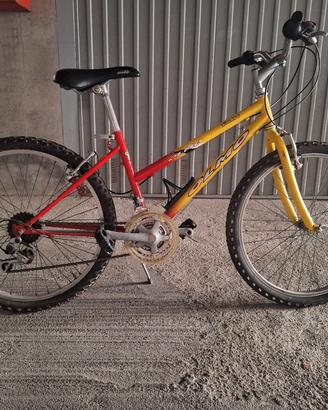 bicicletta ragazzo ruote  24 doppio cambio