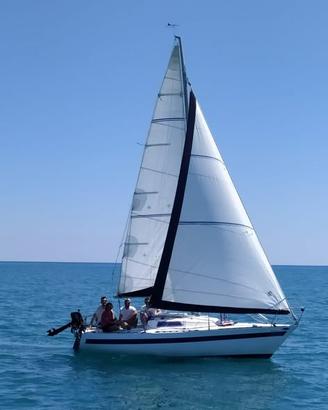 barca vela - FLASH SALE