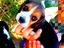 Immagine 5