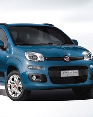 FIAT Panda 1.0 FireFly S&S Hybrid Easy