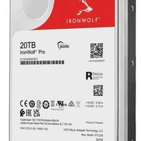 Hard Disk 20TB Seagate Ironwolf Pro in garanzia 