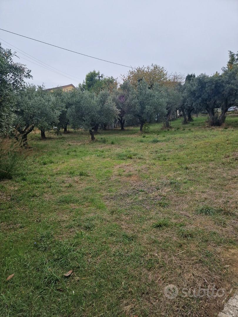Terreno edificabile - Altro