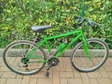Mountain bike verde