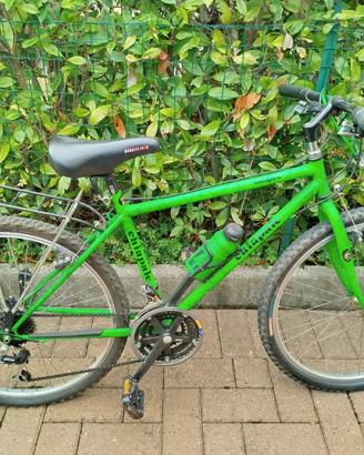 Mountain bike verde