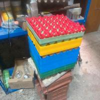 Porta uova in plastica da 30 professionali