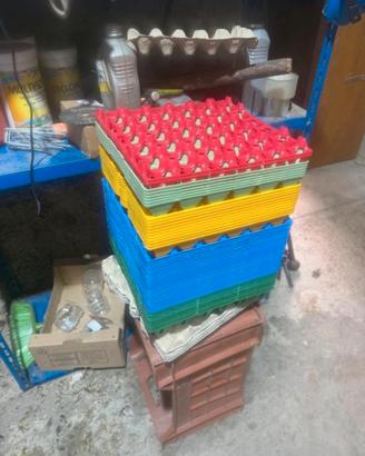 Porta uova in plastica da 30 professionali