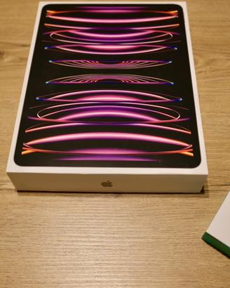 Ipad Pro M2 12,9 pollici 256 Gb