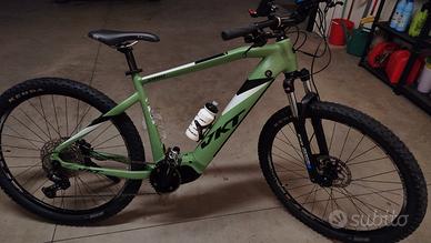 Bici elettrica, e-bike, mountainbike