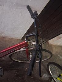 bici da passeggio donna